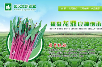 农业生物科技网站建设